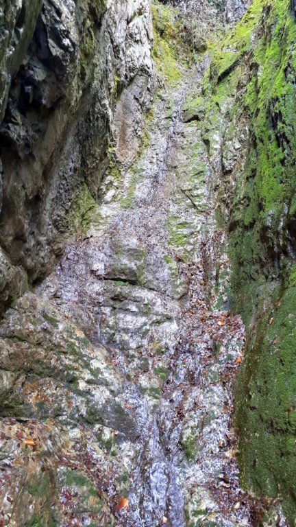 photo32.jpg