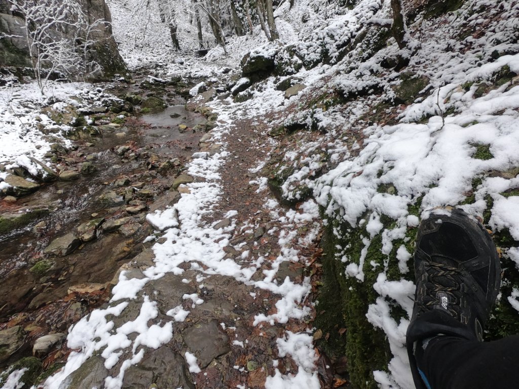 photo8.jpg