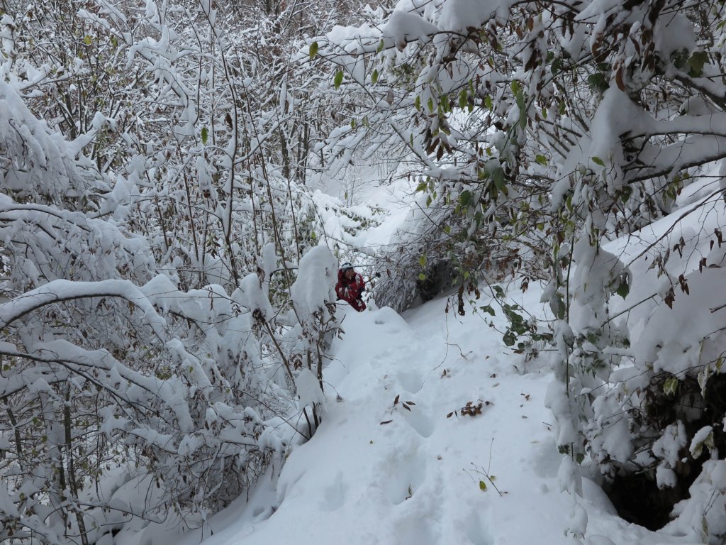 photo18.jpg