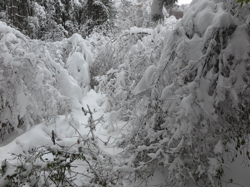 photo5.jpg