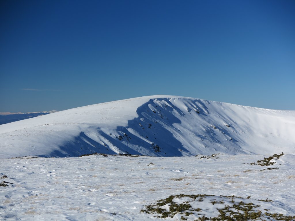photo19.jpg