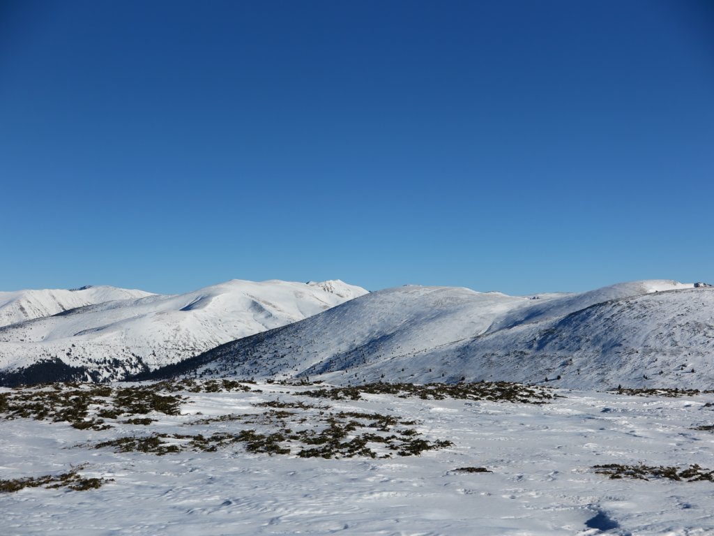 photo20.jpg