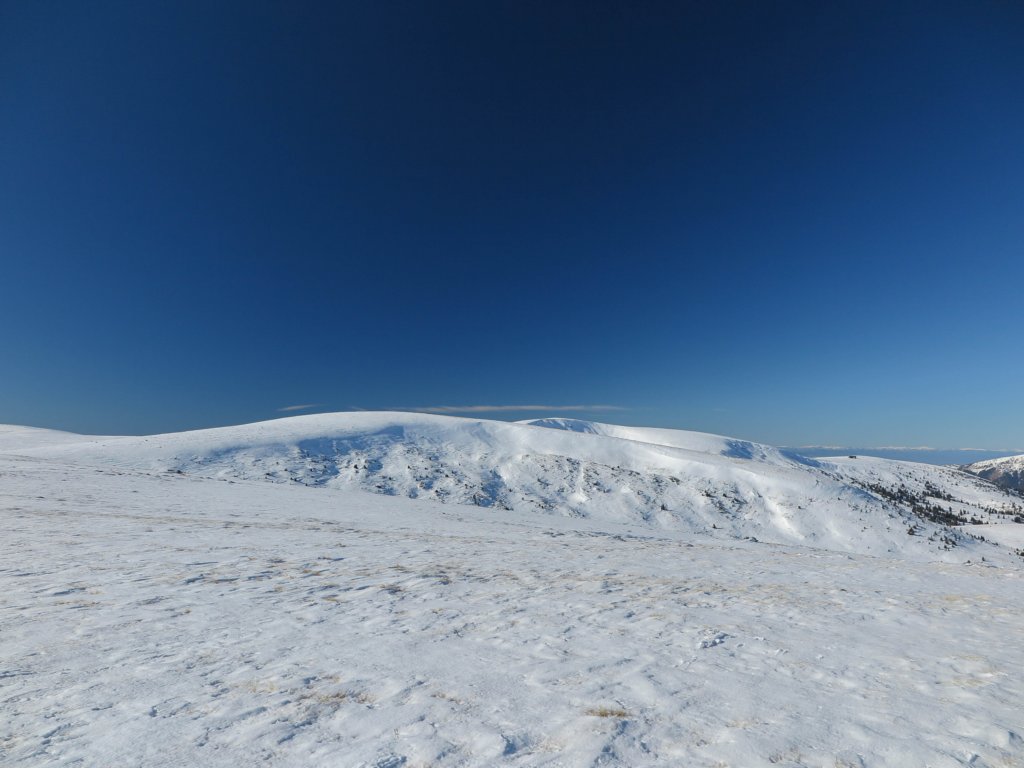 photo22.jpg