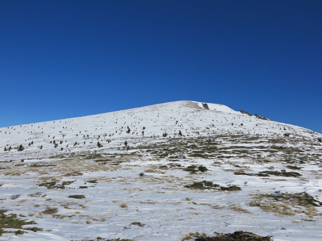 photo42.jpg