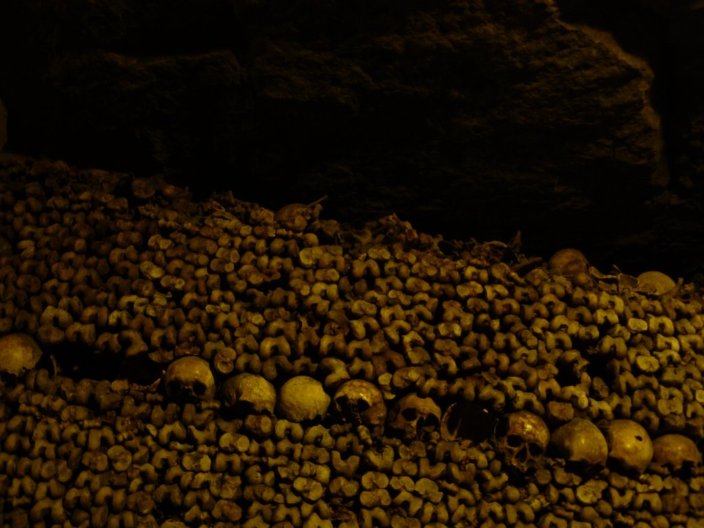 photo17.jpg