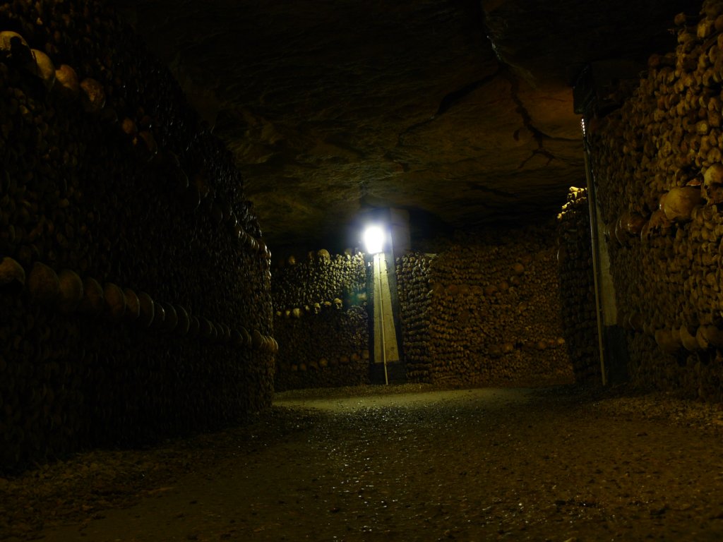 photo21.jpg