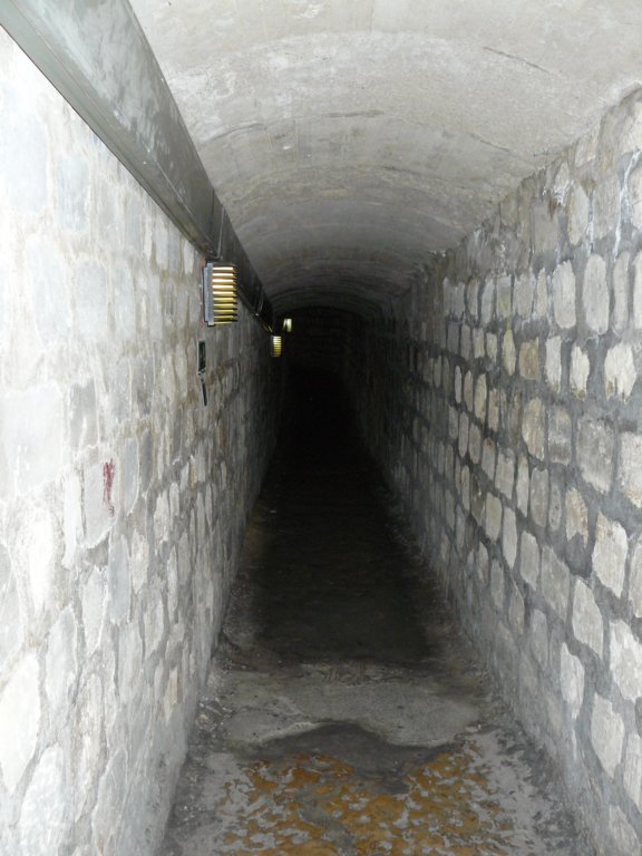 photo3.jpg