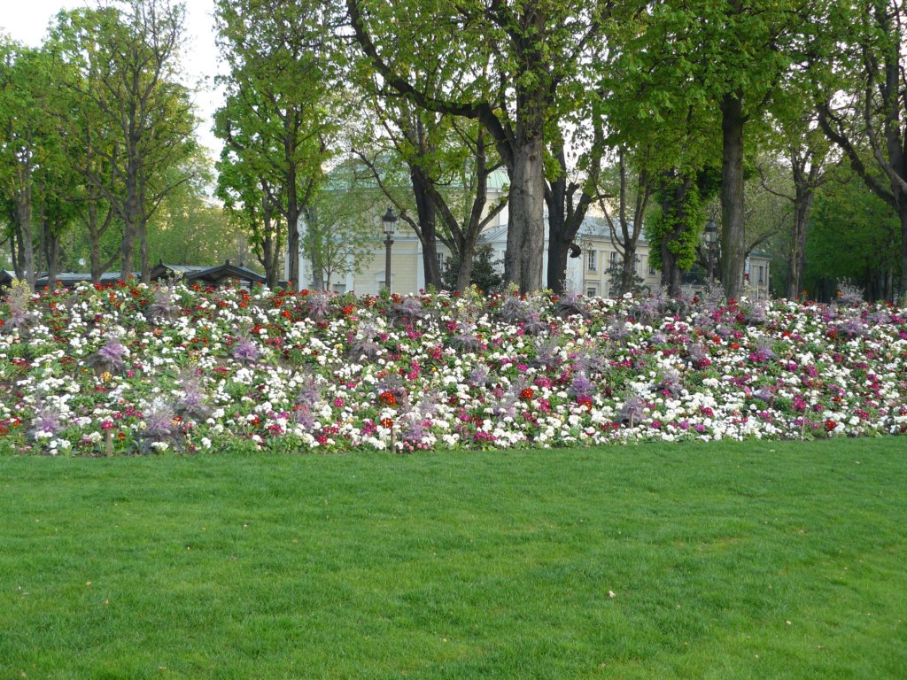champselysees2.jpg