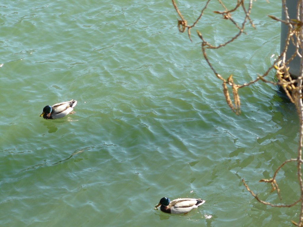 photo23.jpg