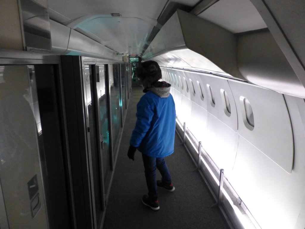 concorde8.jpg