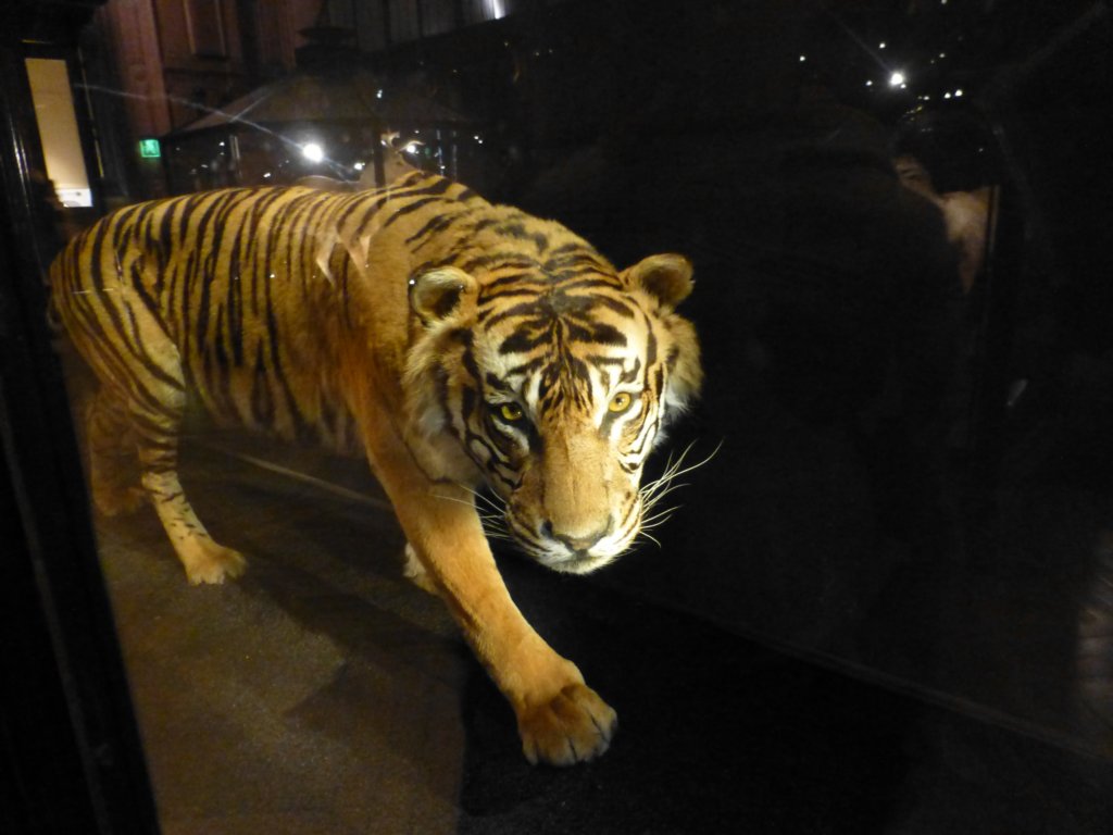 photo23.jpg