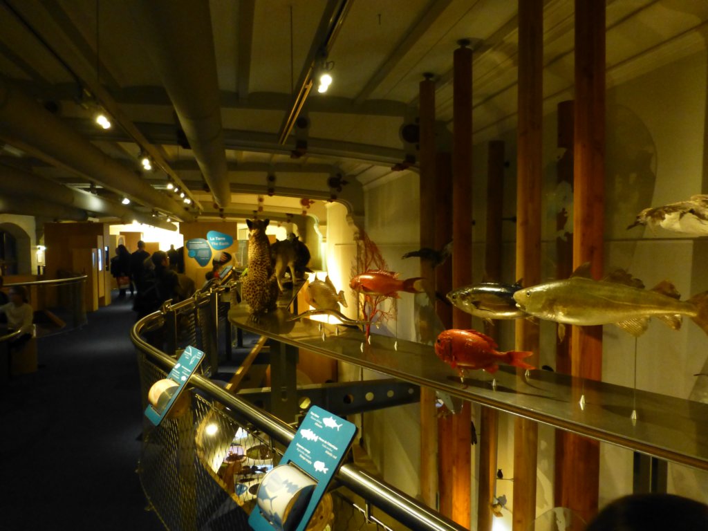 photo50.jpg