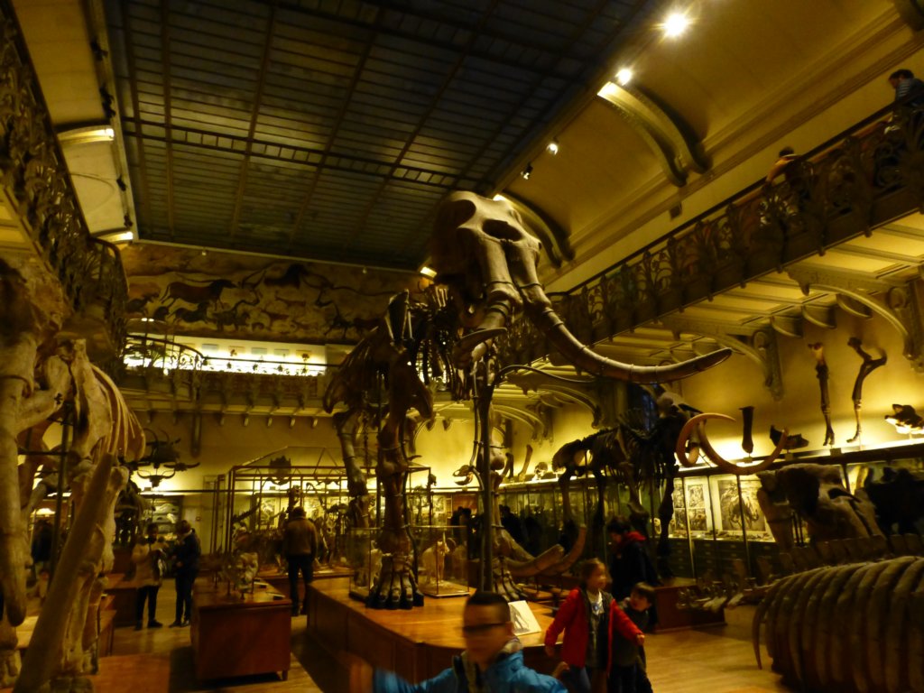 photo81.jpg