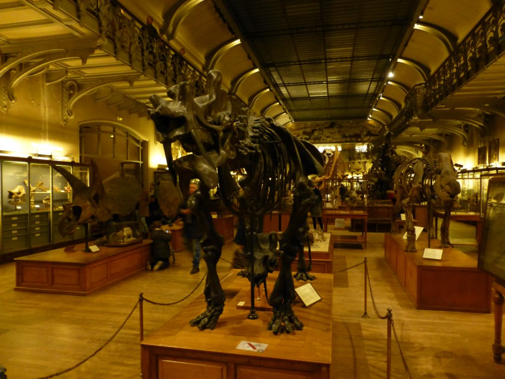 photo88.jpg