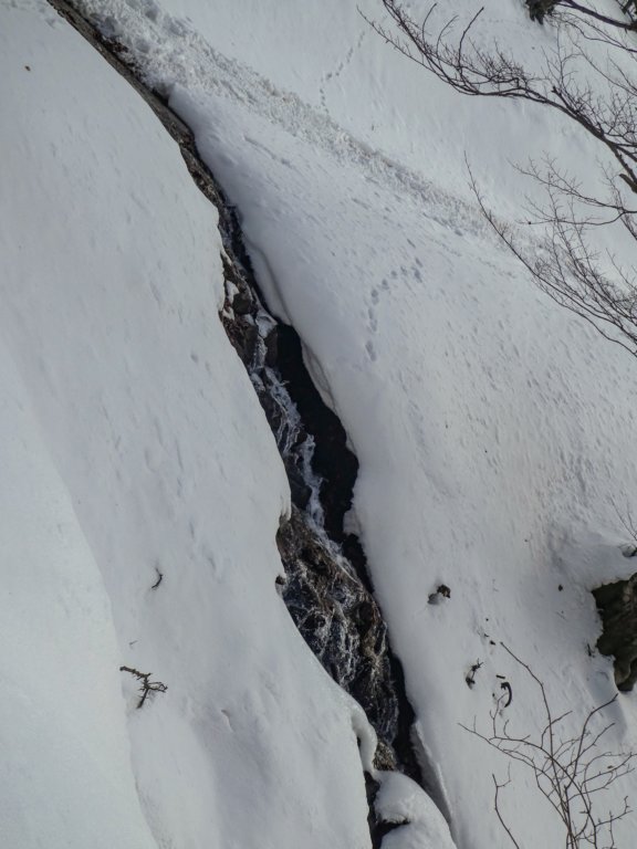 photo5.jpg