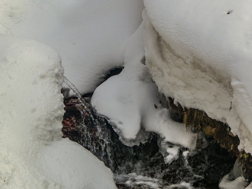 photo6.jpg