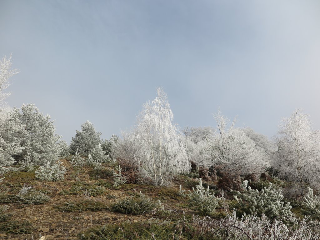 photo18.jpg