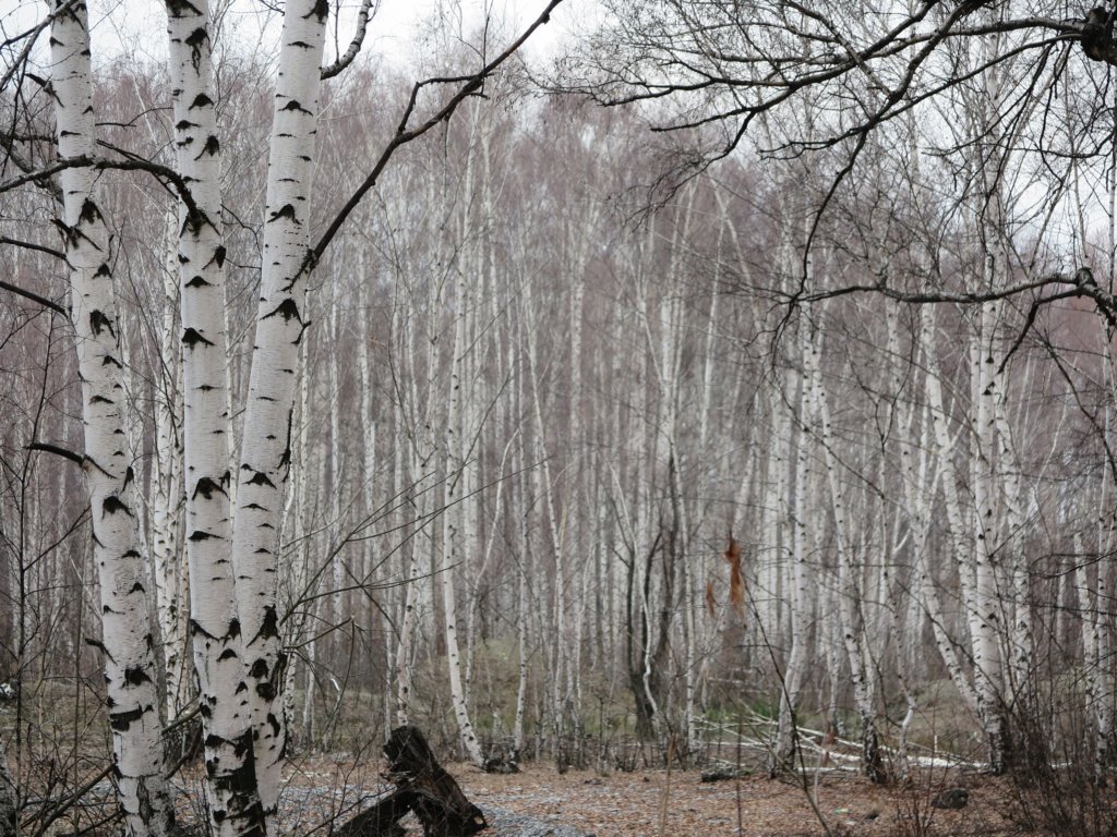 photo2.jpg