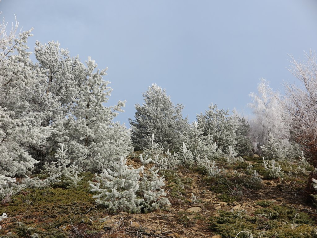 photo25.jpg