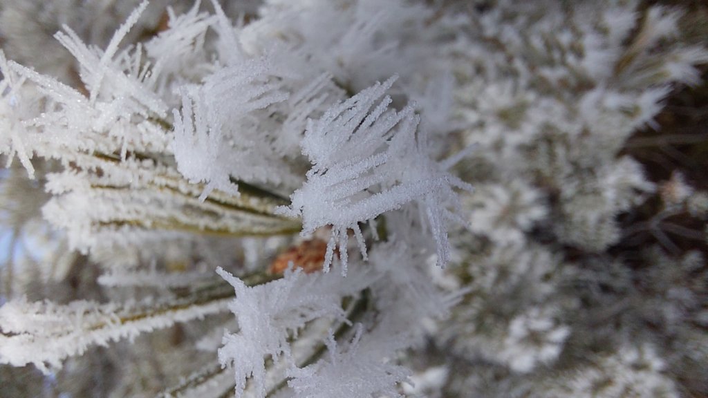 photo46.jpg