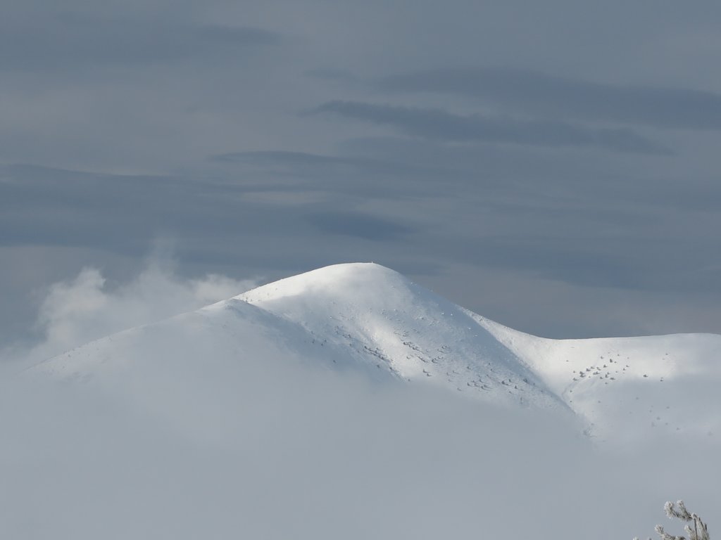 photo51.jpg