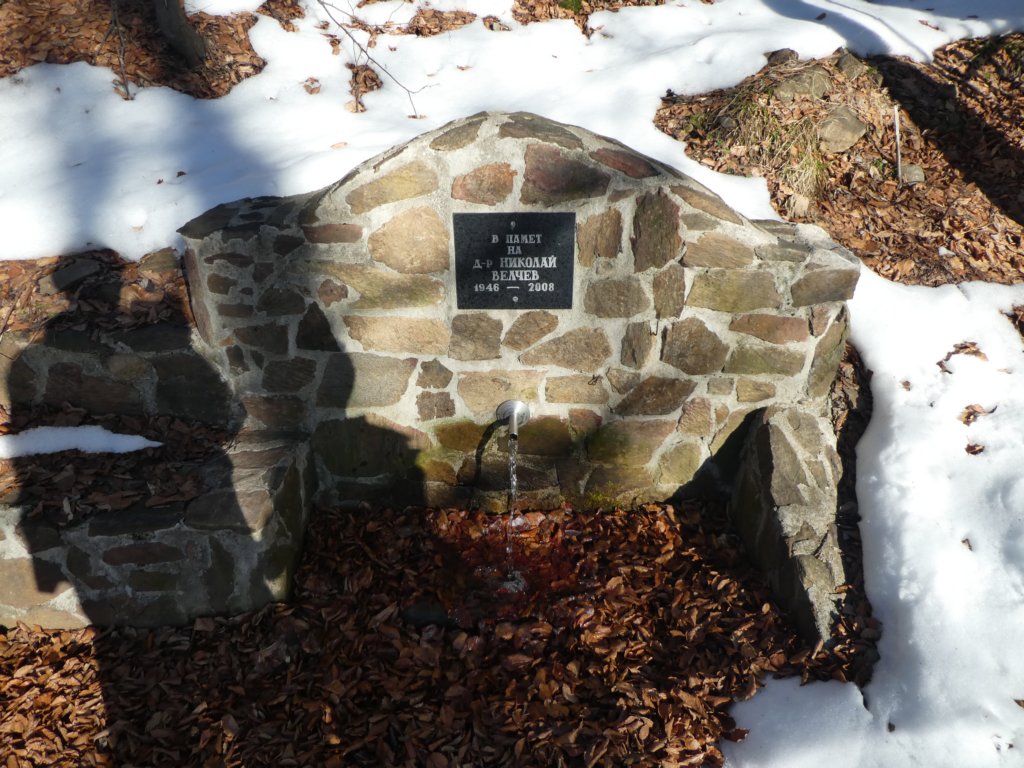 photo15.jpg