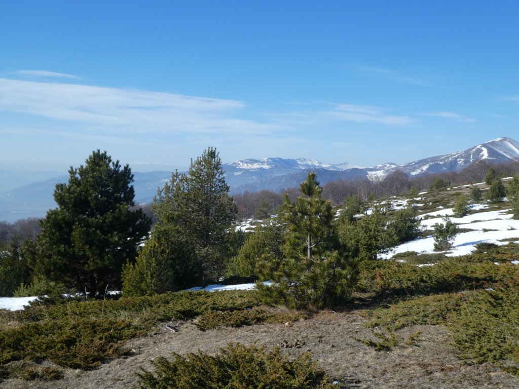 photo33.jpg