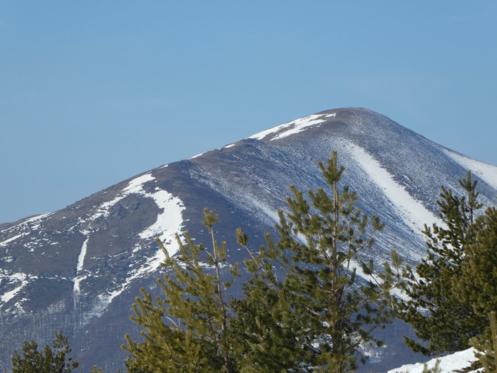 photo41.jpg
