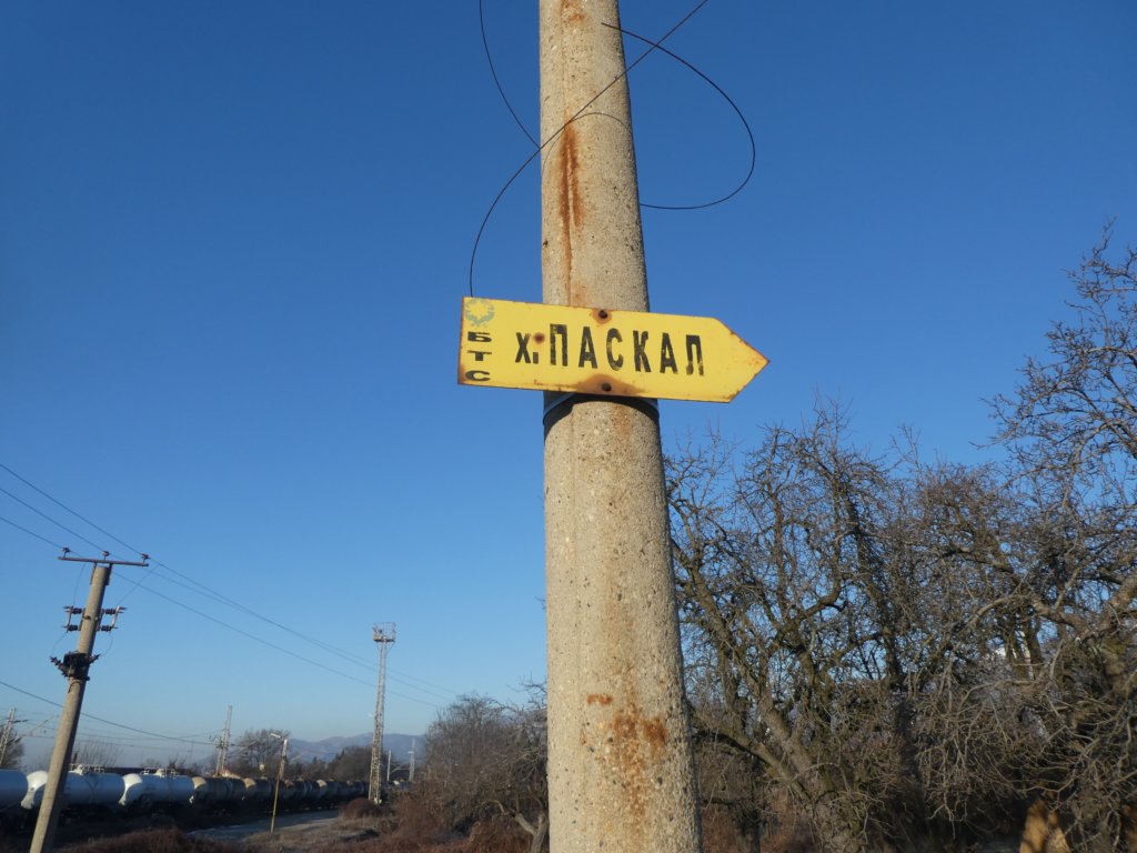 photo8.jpg