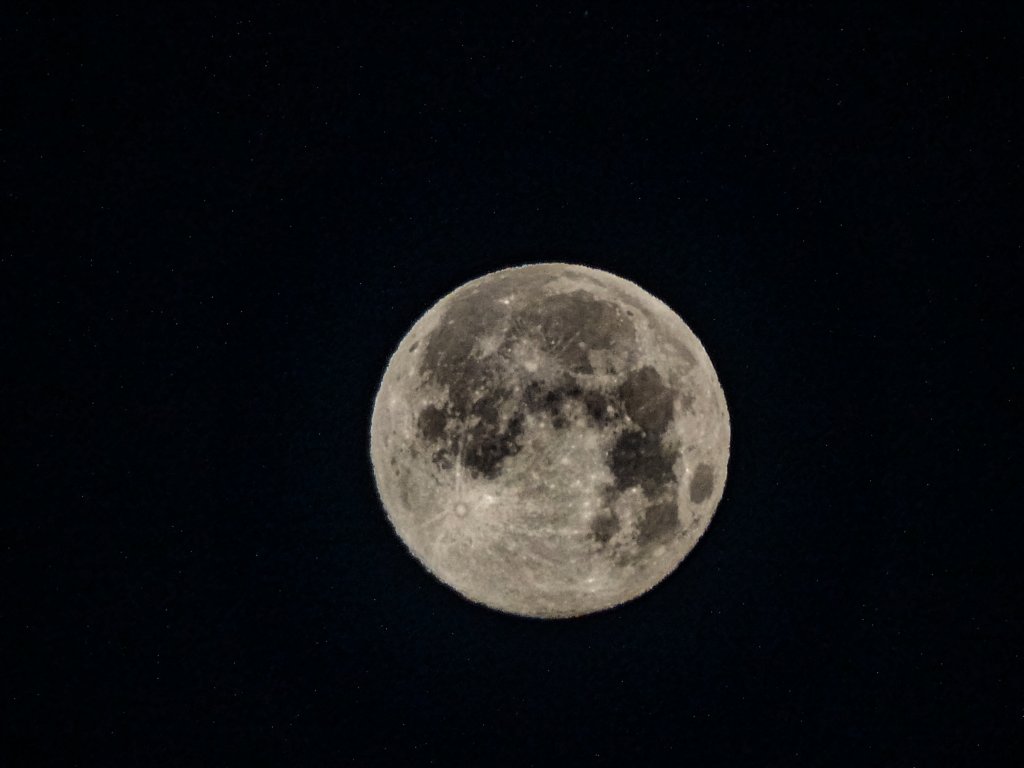 photo5.jpg