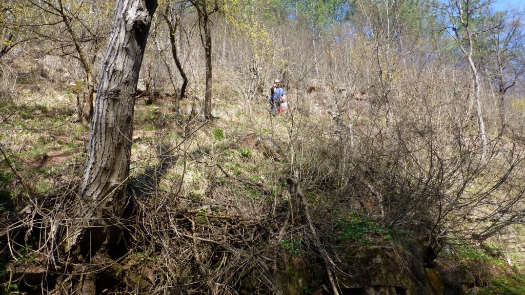 photo14.jpg