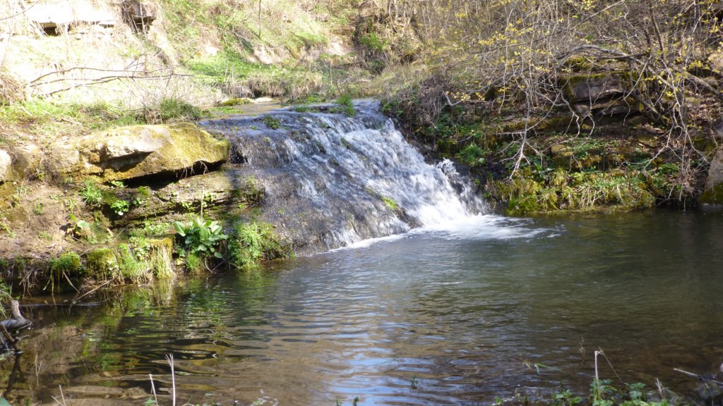 photo16.jpg