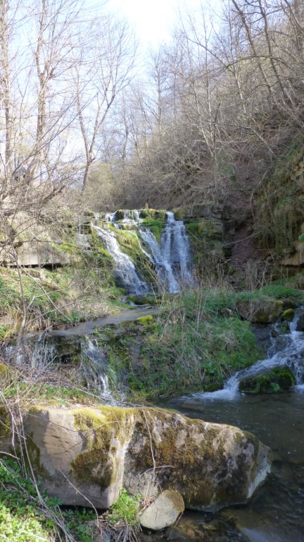 photo17.jpg