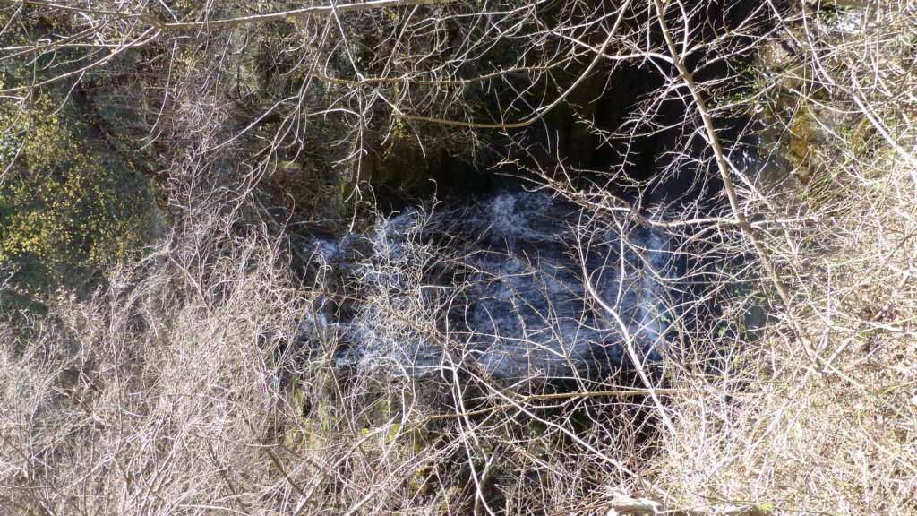 photo24.jpg