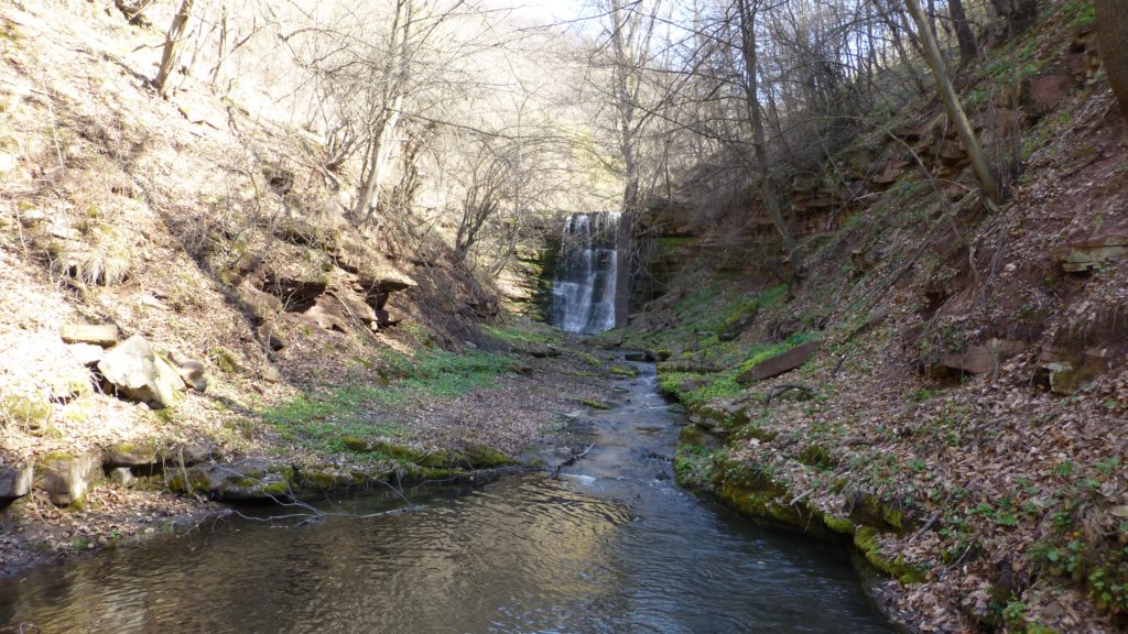 photo31.jpg