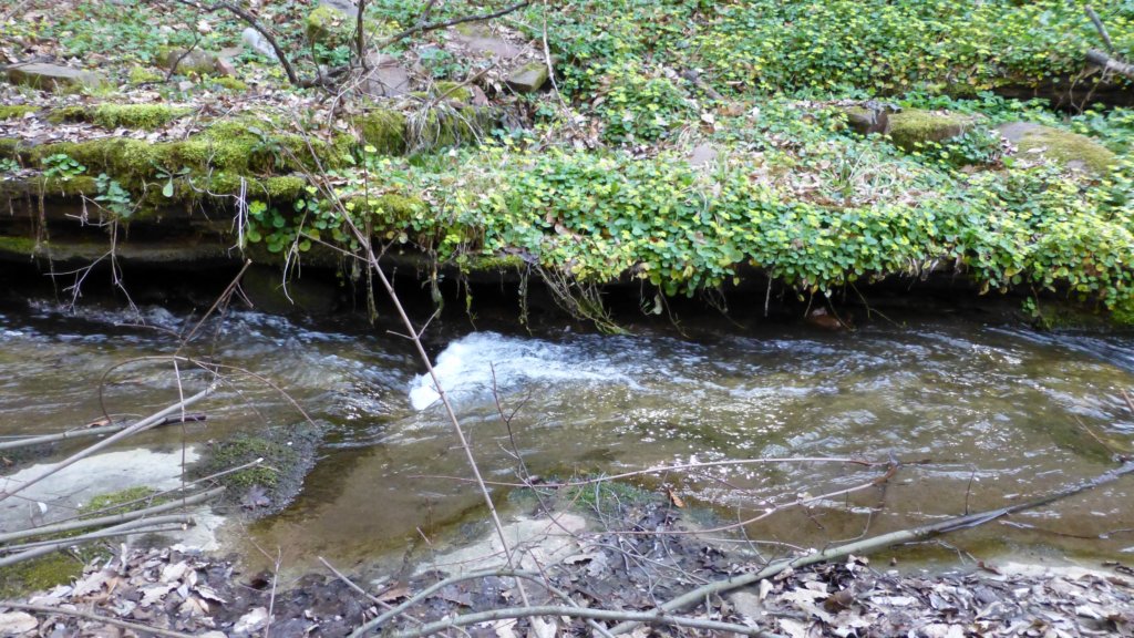photo34.jpg