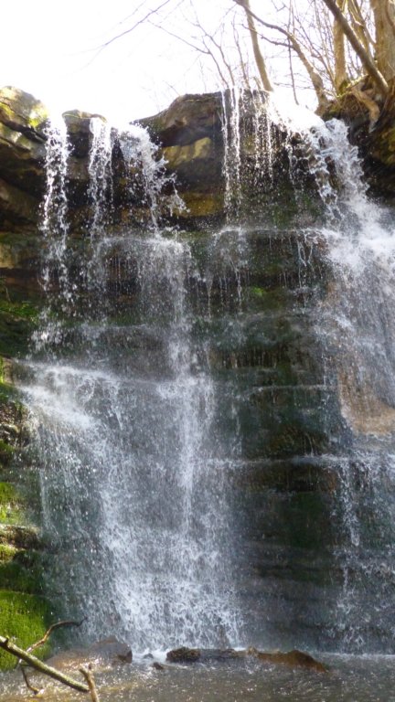 photo37.jpg