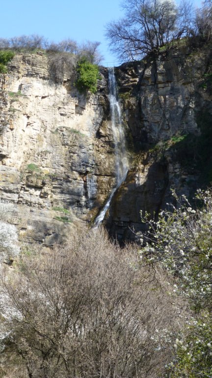 photo88.jpg