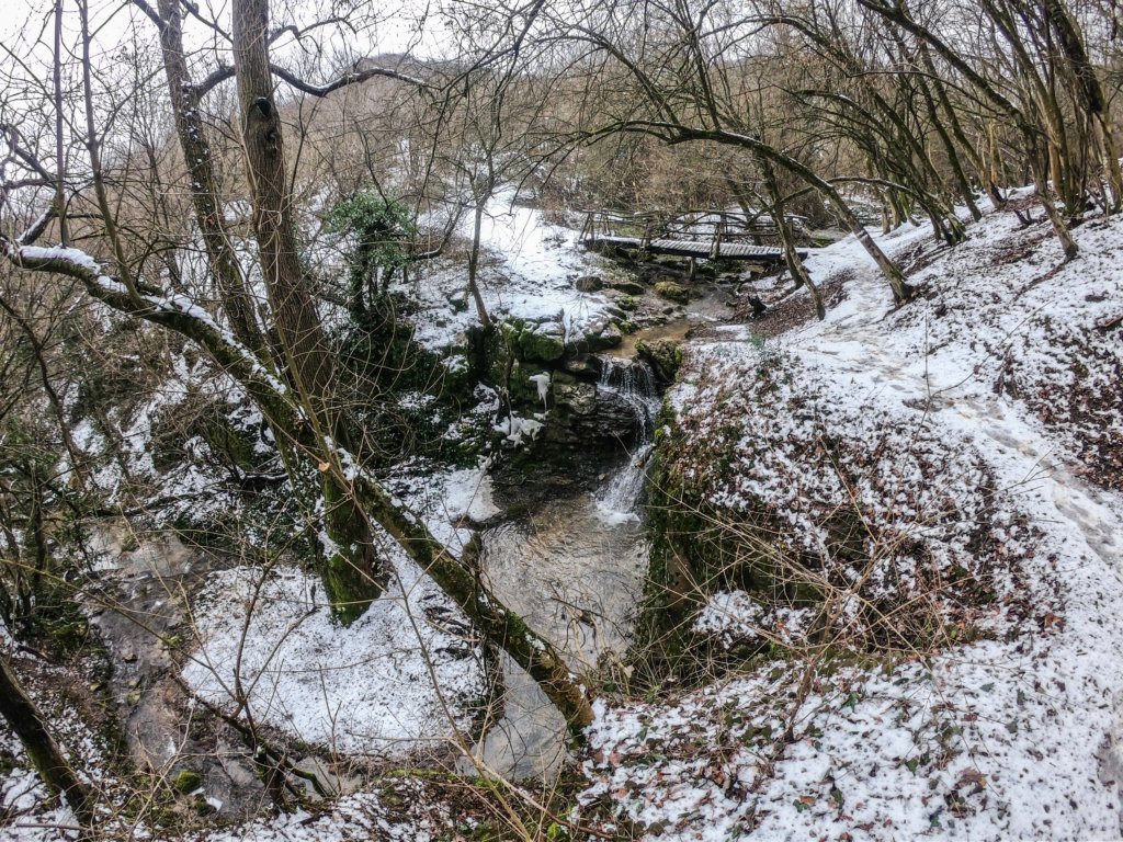 photo18.jpg