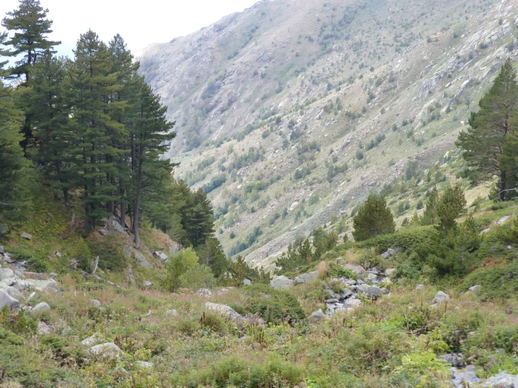 photo3.jpg