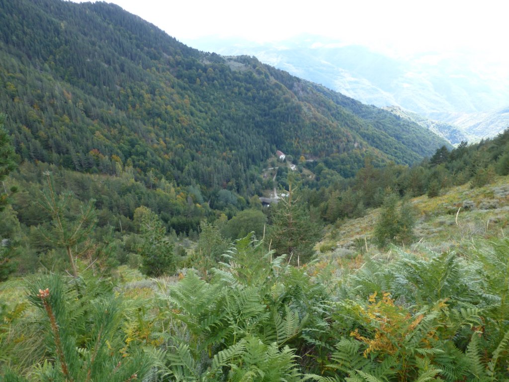 photo43.jpg