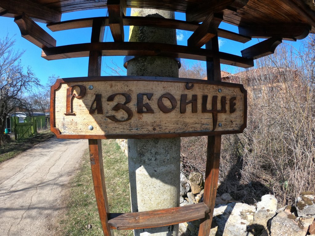 photo3.jpg