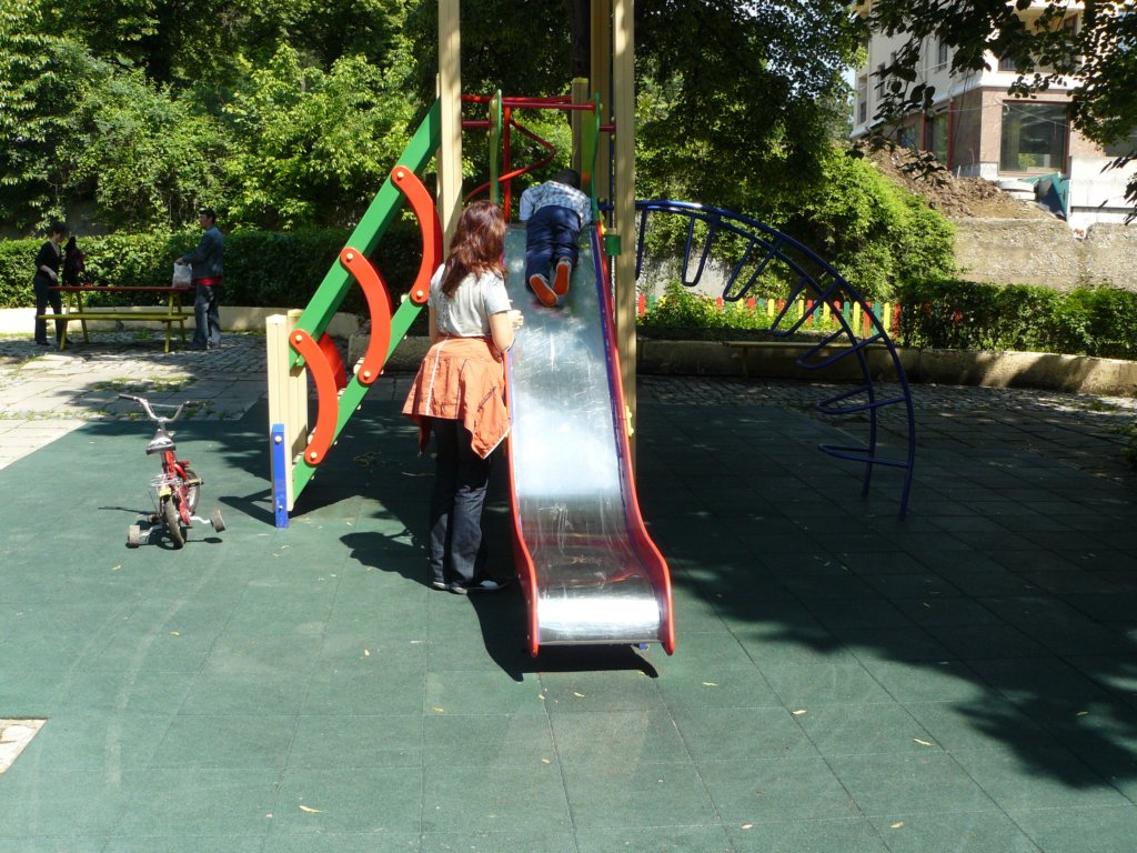 p1120233.jpg