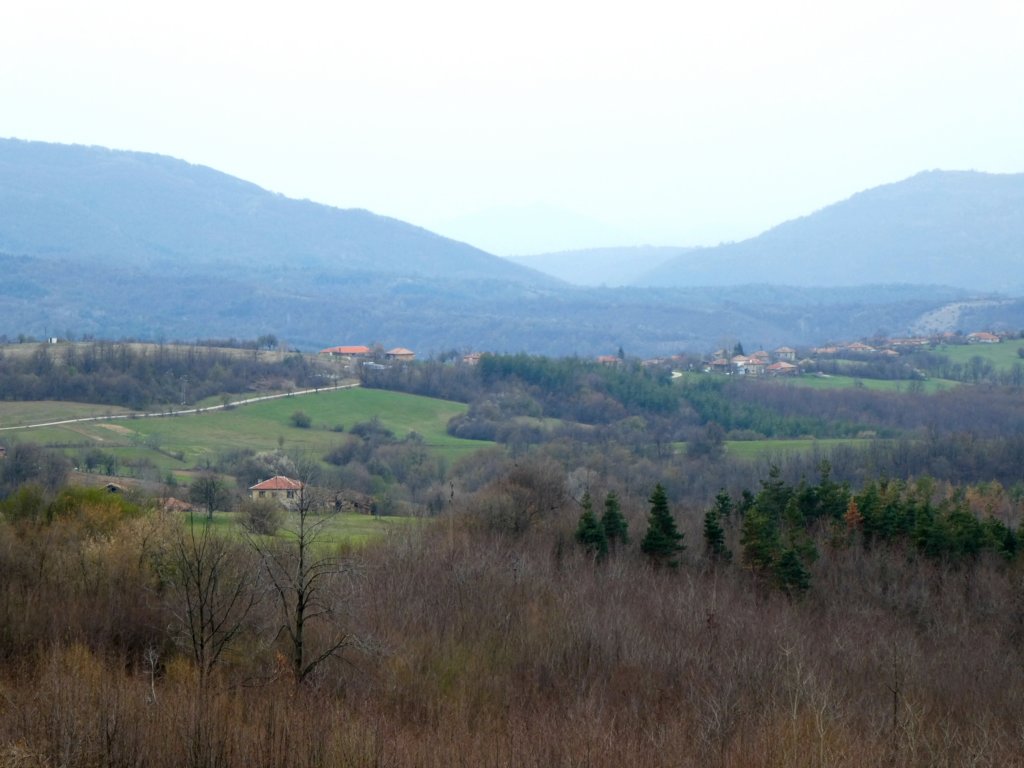 photo10.jpg
