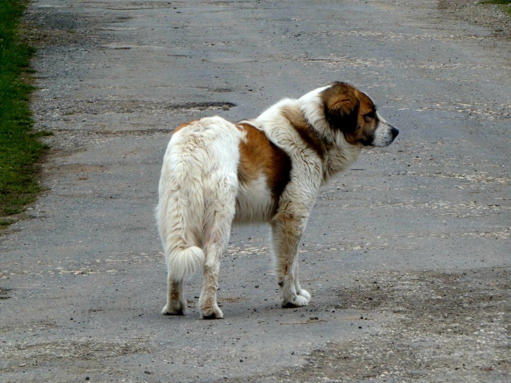 photo24.jpg