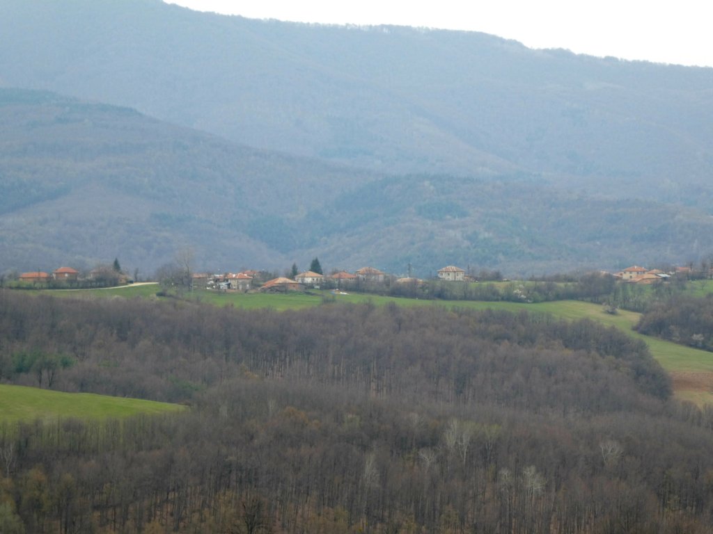 photo8.jpg