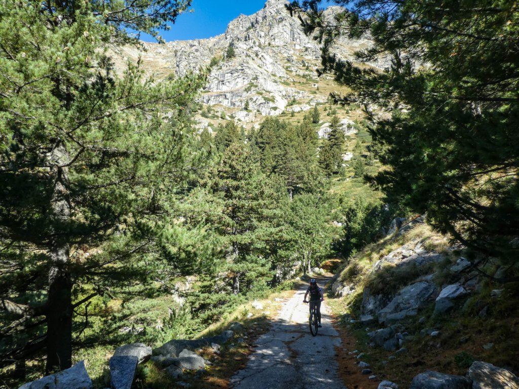 photo19.jpg