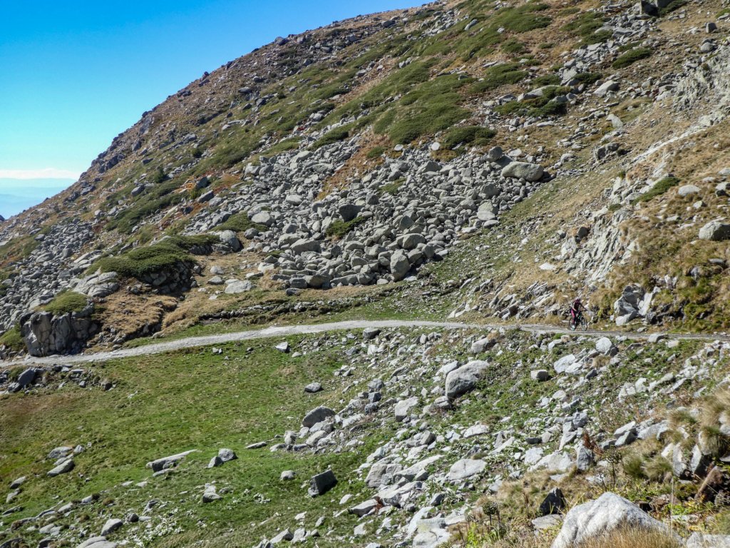 photo39.jpg