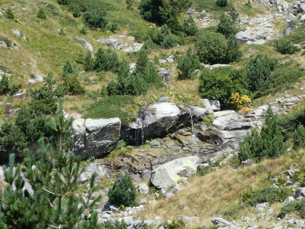 photo12.jpg