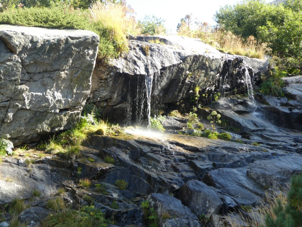 photo14.jpg